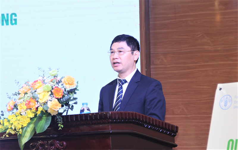 Hội nghị tổng kết Dự án “Hỗ trợ kỹ thuật xây dựng Chiến lược và Kế hoạch hành động Quản lý sức khỏe cây trồng tổng hợp”