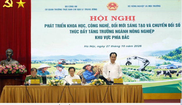 Hội nghị 