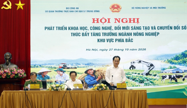 Hội nghị 