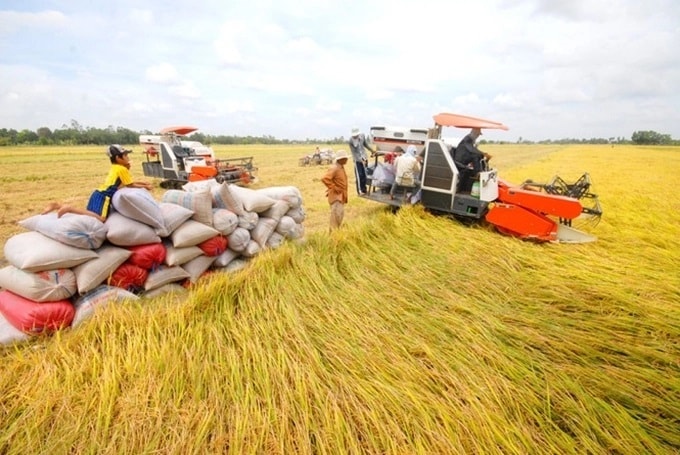Phê duyệt Đề án giảm phát thải trồng trọt giai đoạn 2025-2035: Hướng tới an ninh lương thực và tăng trưởng xanh