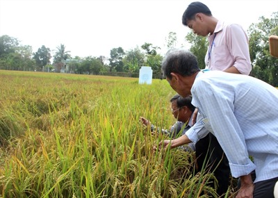 Kế hoạch tổ chức thực hiện đề án tái cơ cấu ngành trong lĩnh vực bảo vệ thực vật năm 2015