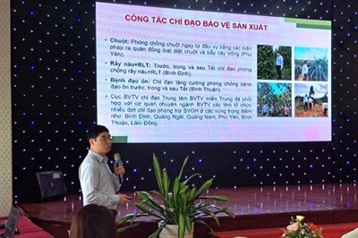 Hội nghị "Sơ kết sản xuất trồng trọt vụ Đông Xuân 2021-2022;  Triển khai kế hoạch vụ Hè Thu, Mùa 2022 các tỉnh  Duyên hải Nam Trung bộ và Tây Nguyên