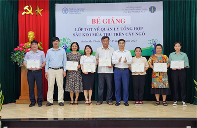 Cấp giấy chứng nhận giảng viên TOT-IPM về quản lý sâu keo mùa thu cho 35 cán bộ