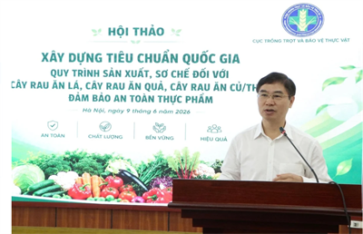 Hội thảo lấy ý kiến góp ý dự thảo Tiêu chuẩn quốc gia (TCVN) “Quy trình sản xuất, sơ chế rau bảo đảm an toàn thực phẩm”