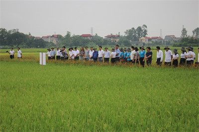 Hội nghị đầu bờ chương trình đào tạo giảng viên IPHM tại Hưng Yên