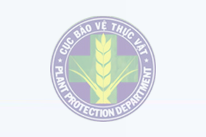 Thông báo tình hình dịch hại tuần 04 tháng 01 năm 2023